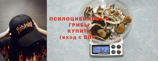 ГАЛЛЮЦИНОГЕННЫЕ ГРИБЫ Бронницы