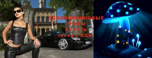 apvp Верхний Тагил