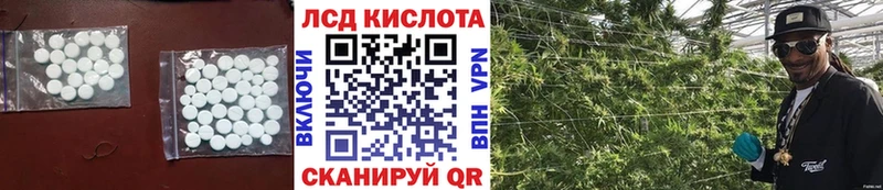 купить закладку mega маркетплейс LSD-25 экстази кислота Елизово